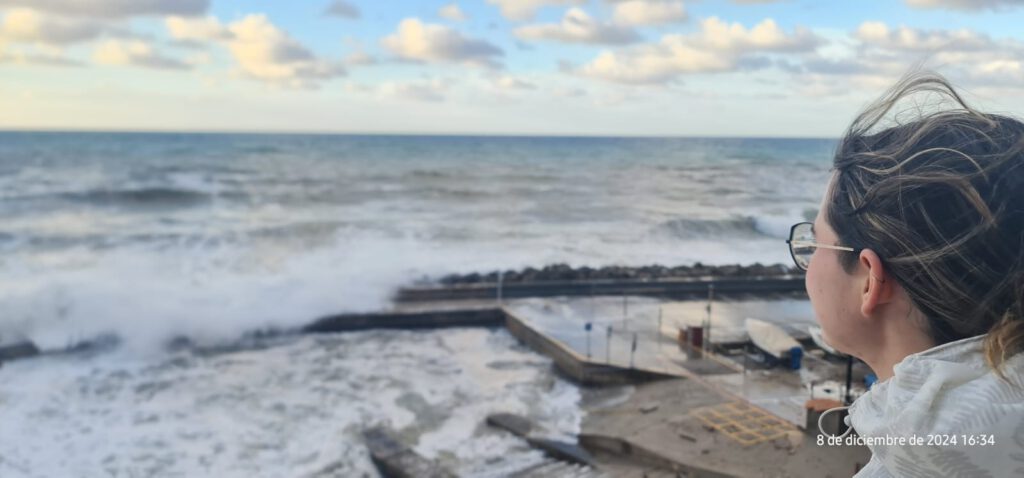 d0572f09 79c8 4dc6 a4b4 d791fb181dc2